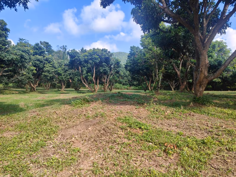 Land For Sale in Nam Phrae, Hang Dong, Chiang Mai - Image 10