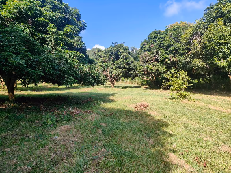  Land For Sale in Nam Phrae, Hang Dong, Chiang Mai - Image 11