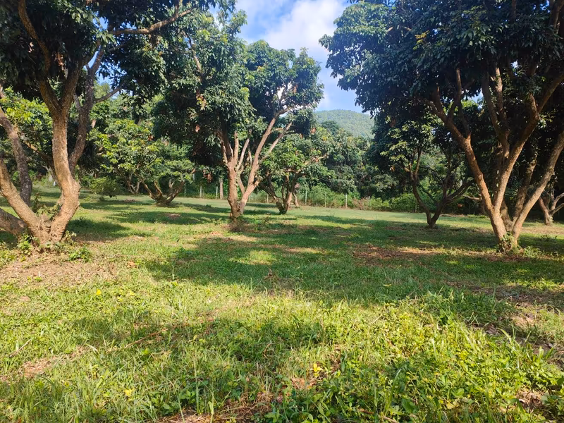  Land For Sale in Nam Phrae, Hang Dong, Chiang Mai - Image 2