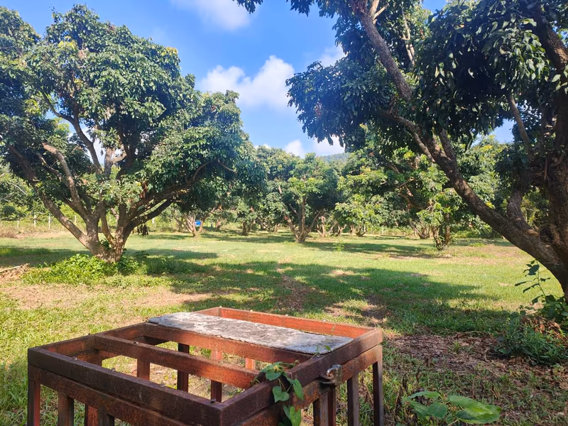  Land For Sale in Nam Phrae, Hang Dong, Chiang Mai - Image 3
