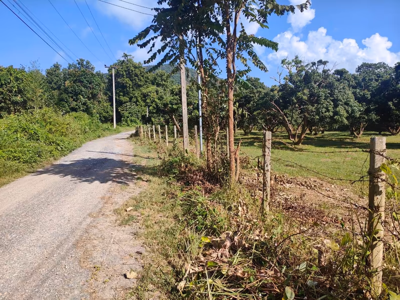  Land For Sale in Nam Phrae, Hang Dong, Chiang Mai - Image 4