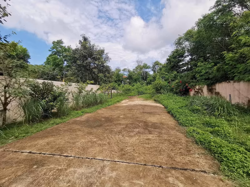  Land For Sale in Nong Khwai, Hang Dong, Chiang Mai - Image 4