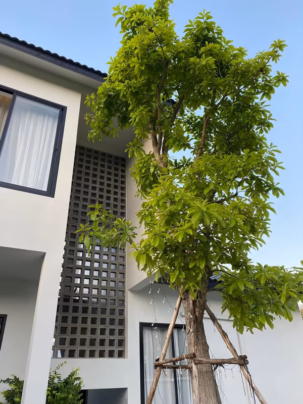 2 Bedroom House For Sale in Nong Khwai, Hang Dong, Chiang Mai - Image 14