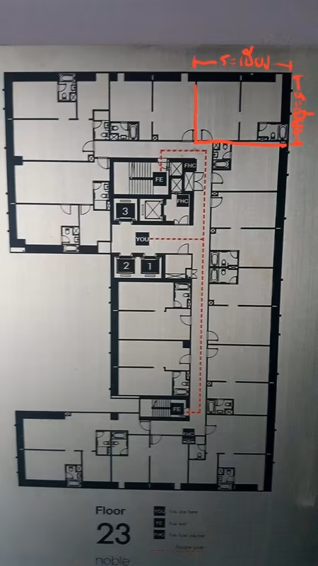 Noble Reveal - Image 5