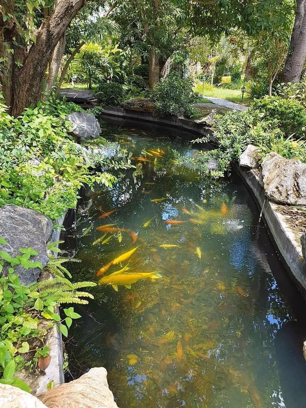 12 ห้องนอน บ้านเดี่ยว สำหรับขาย ใน สุเทพ, เมืองเชียงใหม่, เชียงใหม่ - Image 3