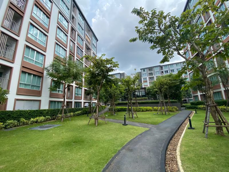 Dcondo Ping - Image 16