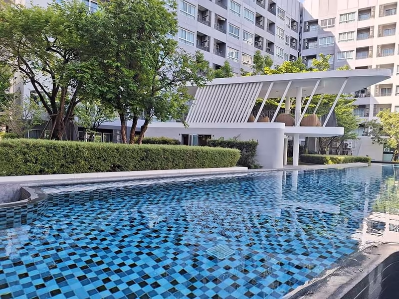 เอลิโอ เดล เรย์ - Image 6