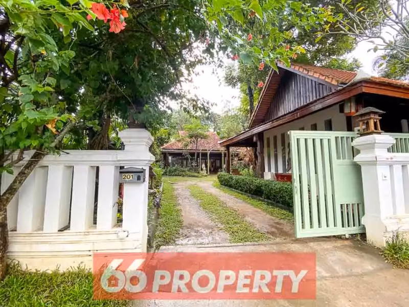 5 Bedroom House For Rent in Pa Daet, Mueang Chiang Mai, Chiang Mai - Image 5