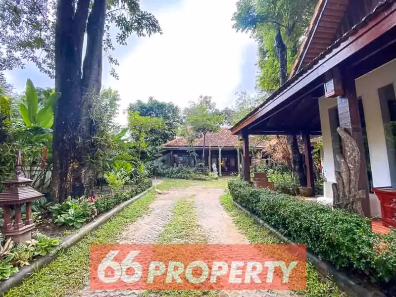 5 Bedroom House For Rent in Pa Daet, Mueang Chiang Mai, Chiang Mai - Image 9