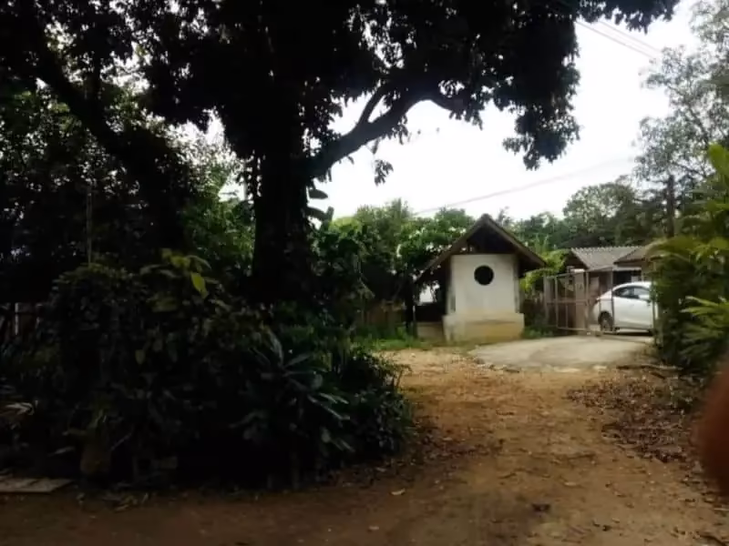 สตูดิโอ บ้านเดี่ยว สำหรับขาย ใน สันปูเลย, ดอยสะเก็ด, เชียงใหม่ - Image 4