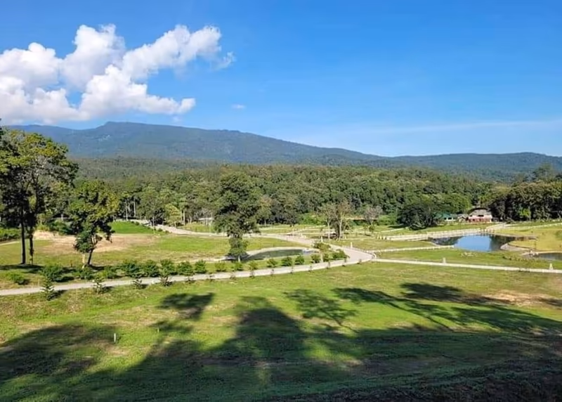  Land For Sale in Ban Pong, Hang Dong, Chiang Mai - Image 5