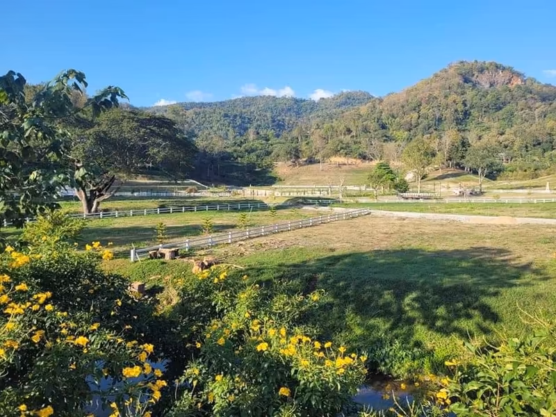  Land For Sale in Ban Pong, Hang Dong, Chiang Mai - Image 7