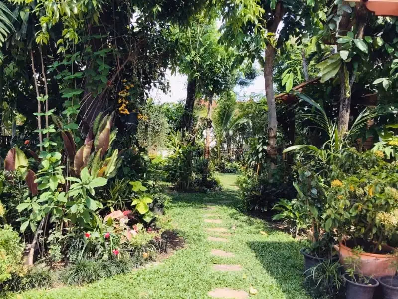 3 Bedroom House For Sale in Mae Hia, Mueang Chiang Mai, Chiang Mai - Image 14