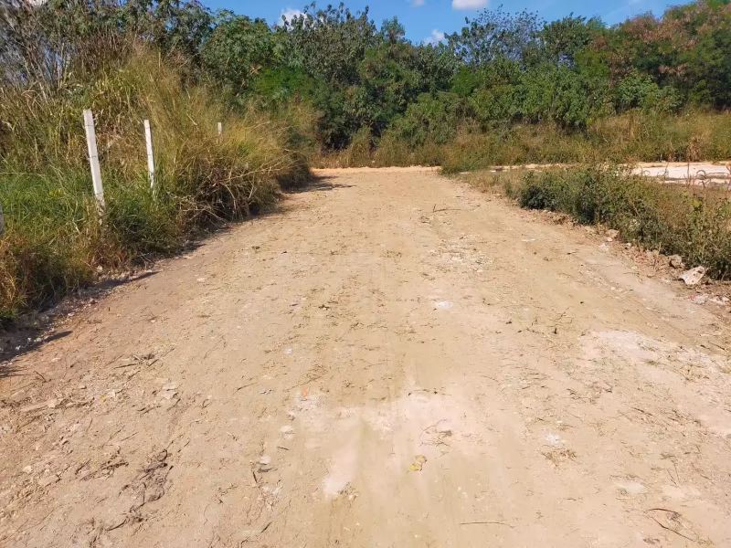 Land For Sale in Pa Daet, Mueang Chiang Mai, Chiang Mai - Image 2