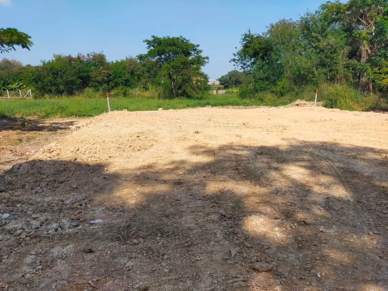 Land For Sale in Pa Daet, Mueang Chiang Mai, Chiang Mai - Image 3
