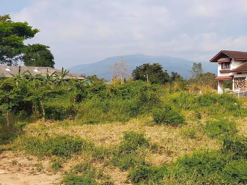 Land For Sale in Pa Daet, Mueang Chiang Mai, Chiang Mai - Image 7