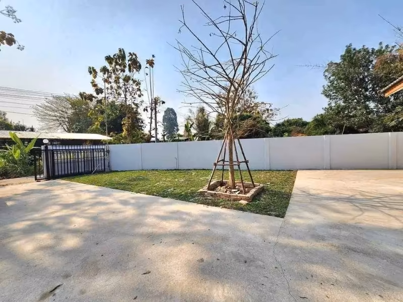 3 ห้องนอน บ้านเดี่ยว สำหรับเช่า ใน ขัวมุง, สารภี, เชียงใหม่ - Image 2