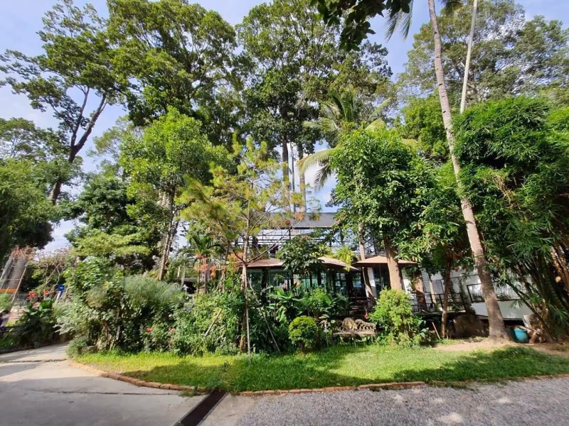 Studio House For Rent in Yang Noeng, Saraphi, Chiang Mai - Image 10