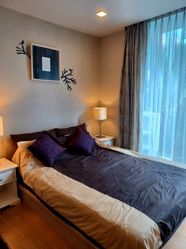 Quad Sathon - Image 6