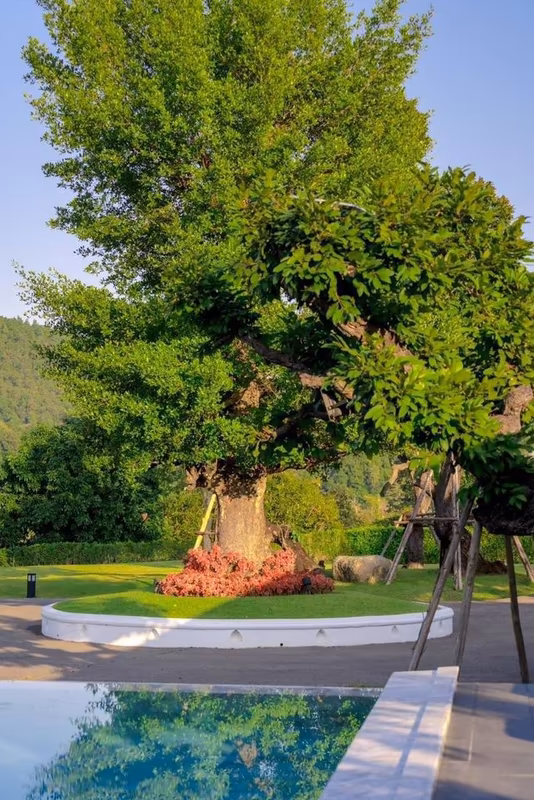 4 Bedroom House For Rent in Mae Sap, Samoeng, Chiang Mai - Image 25