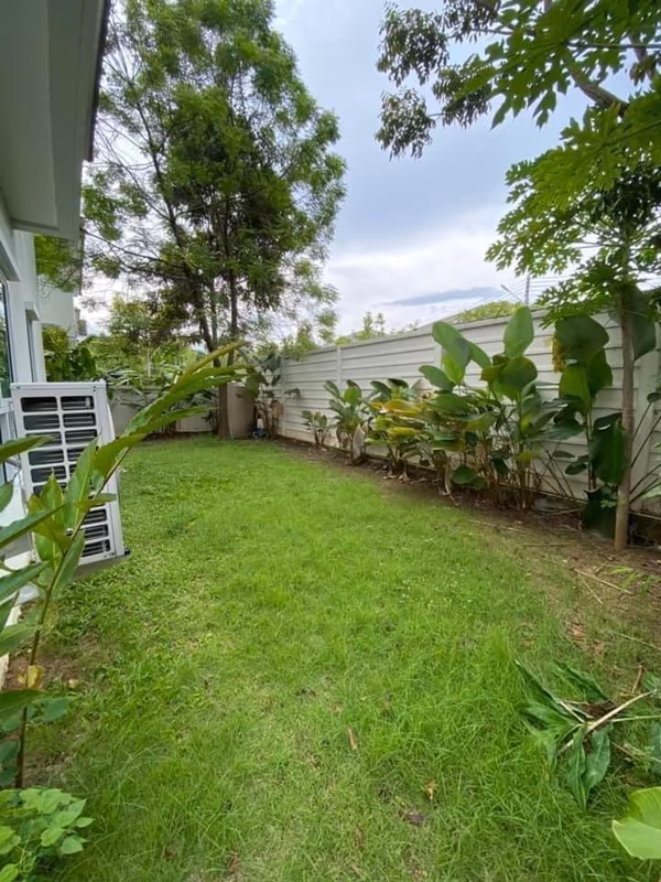 3 Bedroom House For Sale in San Phisuea, Mueang Chiang Mai, Chiang Mai - Image 4