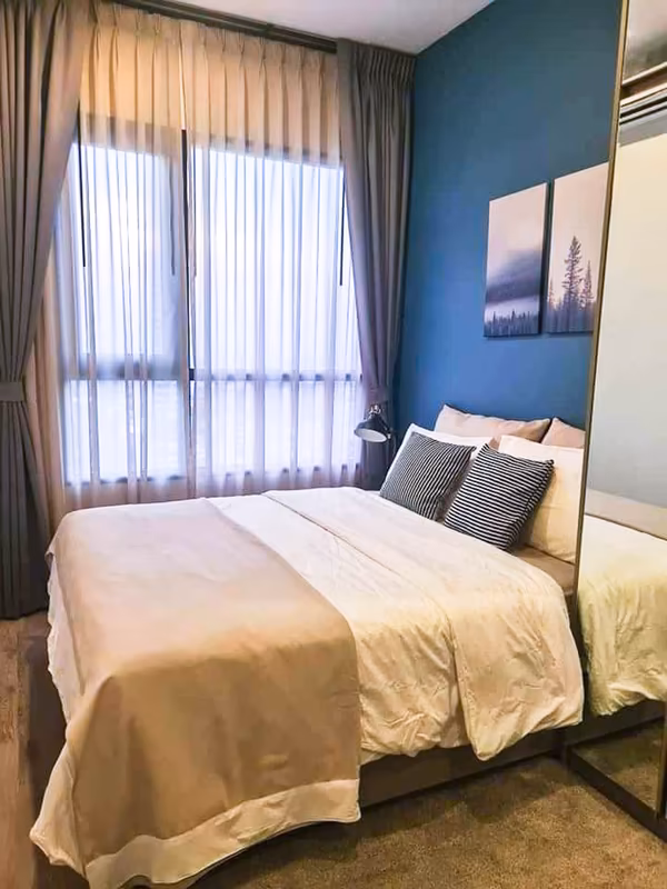 Knightsbridge Prime Onnut - Image 2