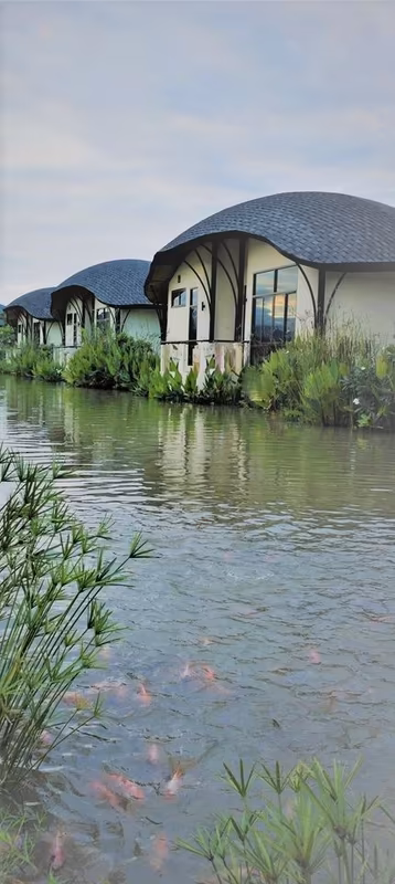 8 ห้องนอน บ้านเดี่ยว สำหรับขาย ใน แม่โป่ง, ดอยสะเก็ด, เชียงใหม่ - Image 12
