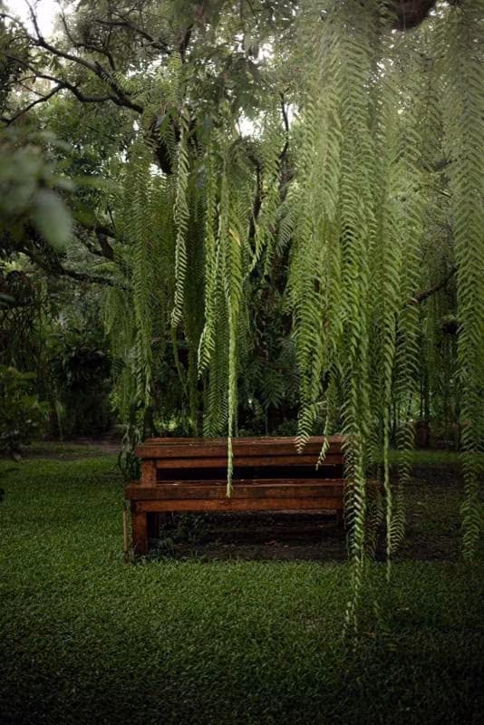5 ห้องนอน บ้านเดี่ยว สำหรับขาย ใน สุเทพ, เมืองเชียงใหม่, เชียงใหม่ - Image 7