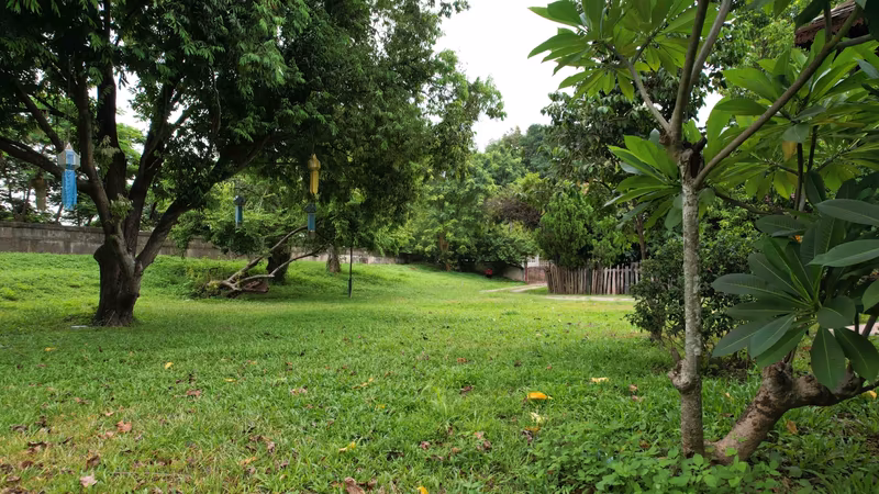 Land For Sale in Tha Kwang, Saraphi, Chiang Mai - Image 9