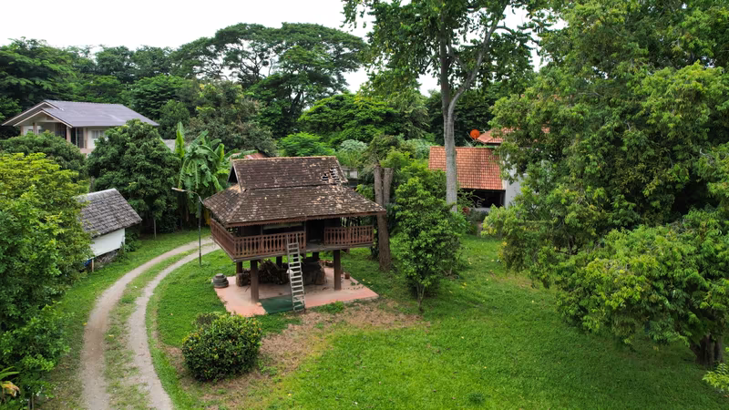 Land For Sale in Tha Kwang, Saraphi, Chiang Mai - Image 30