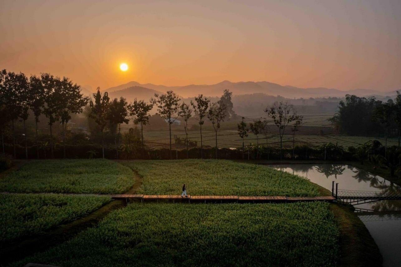  ที่ดิน สำหรับขาย ใน เชียงดาว, เชียงดาว, เชียงใหม่ - Image 4
