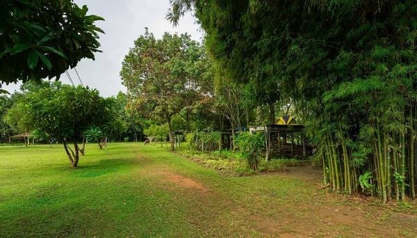  Land For Sale in Malika, Mae Ai, Chiang Mai - Image 10