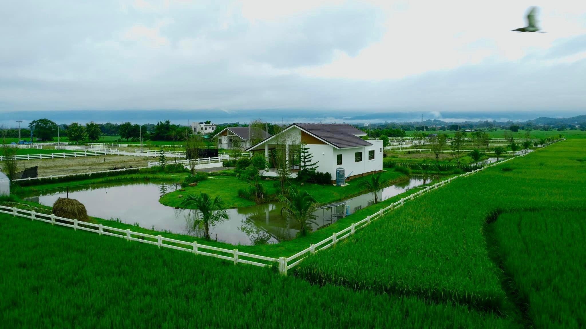 3 Bedroom House For Sale in Nong Han, San Sai, Chiang Mai - Image 4