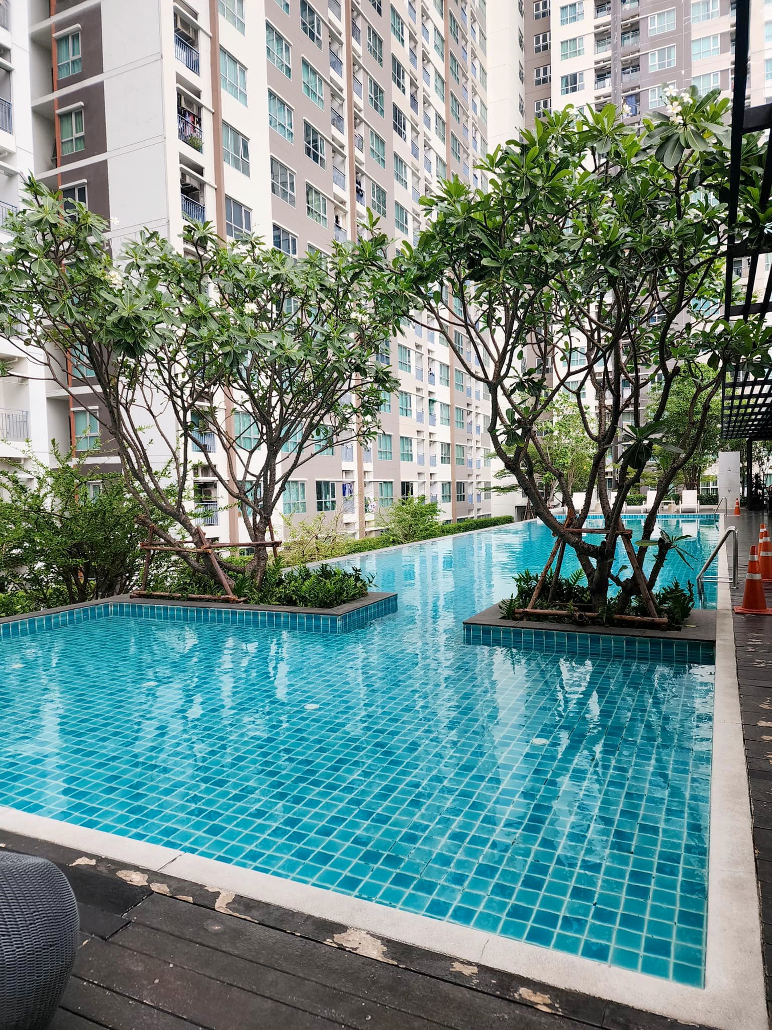 1 ห้องนอน คอนโด สำหรับขาย ใน พระโขนง, คลองเตย, กรุงเทพมหานคร - Image 7