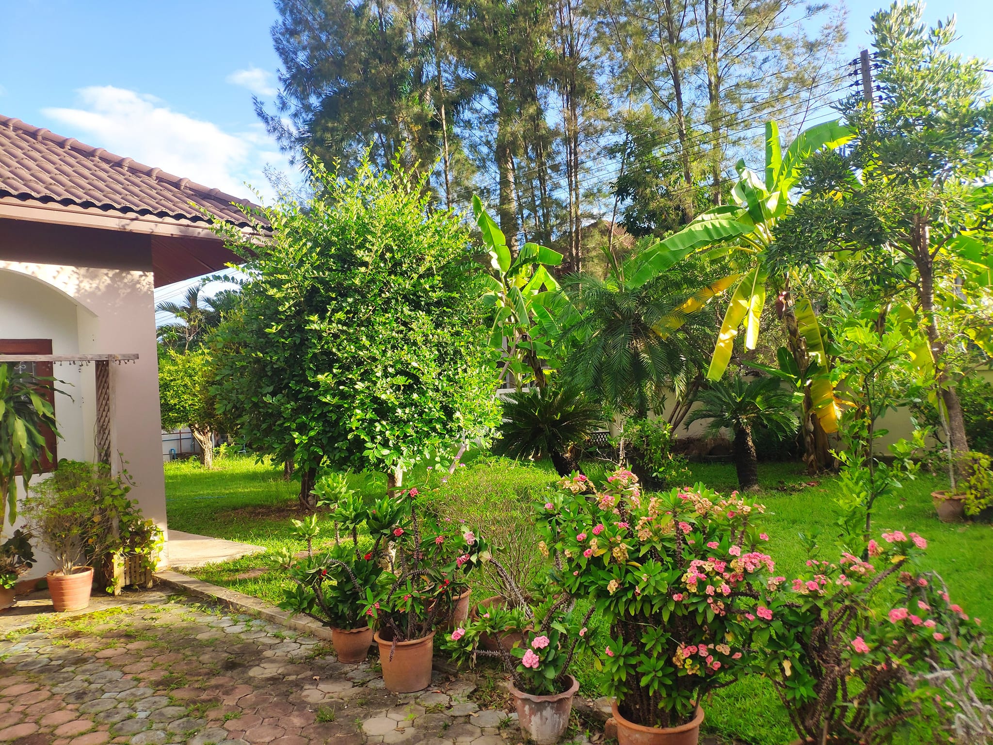 Mooban Lanna Villa - Image 4