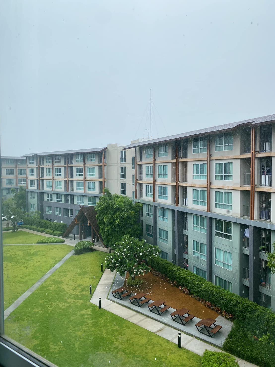 DCondo Campus Resort  - Image 7