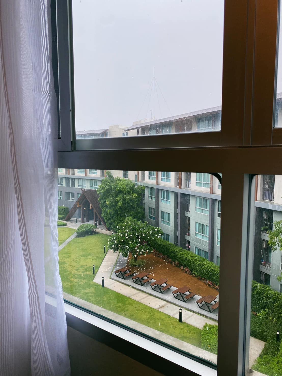 DCondo Campus Resort  - Image 4