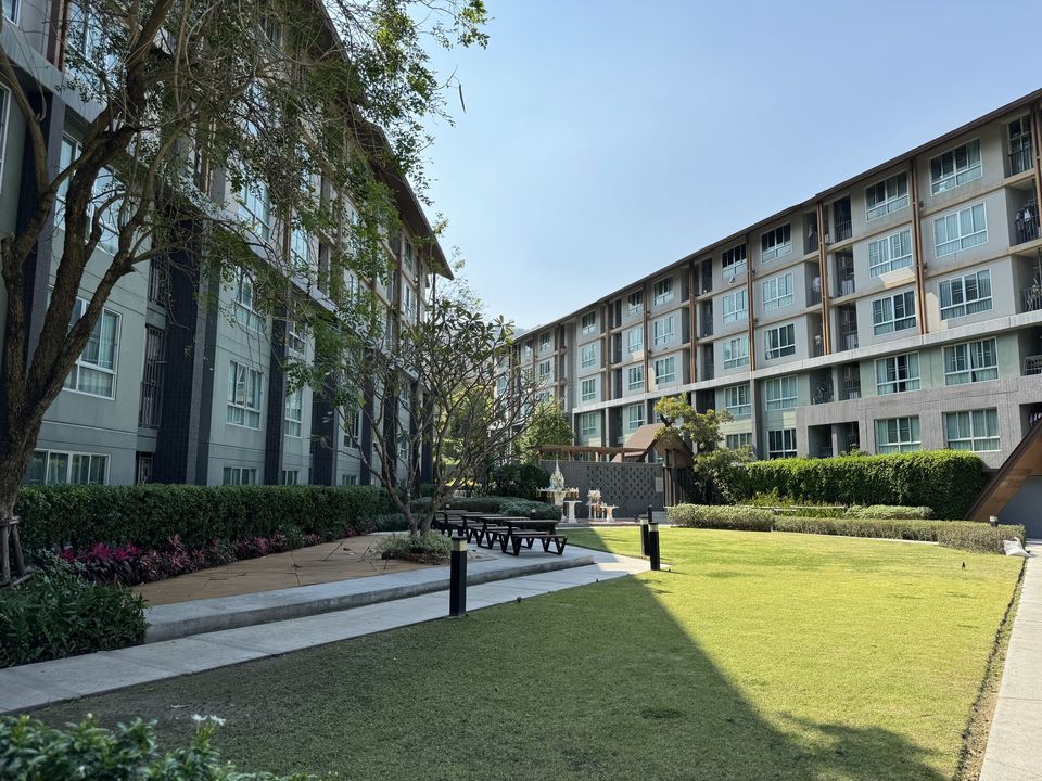 DCondo Campus Resort  - Image 11