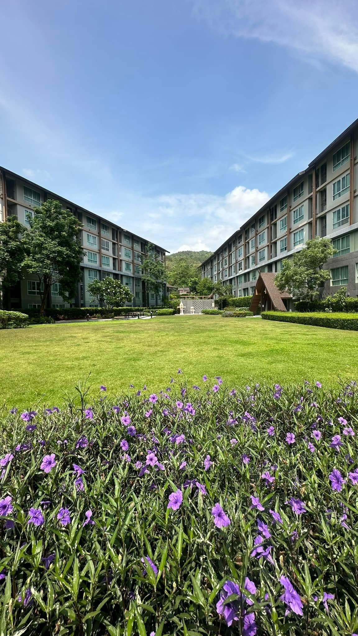 Studio Condo For Sale in Suthep, Mueang Chiang Mai, Chiang Mai - Image 5