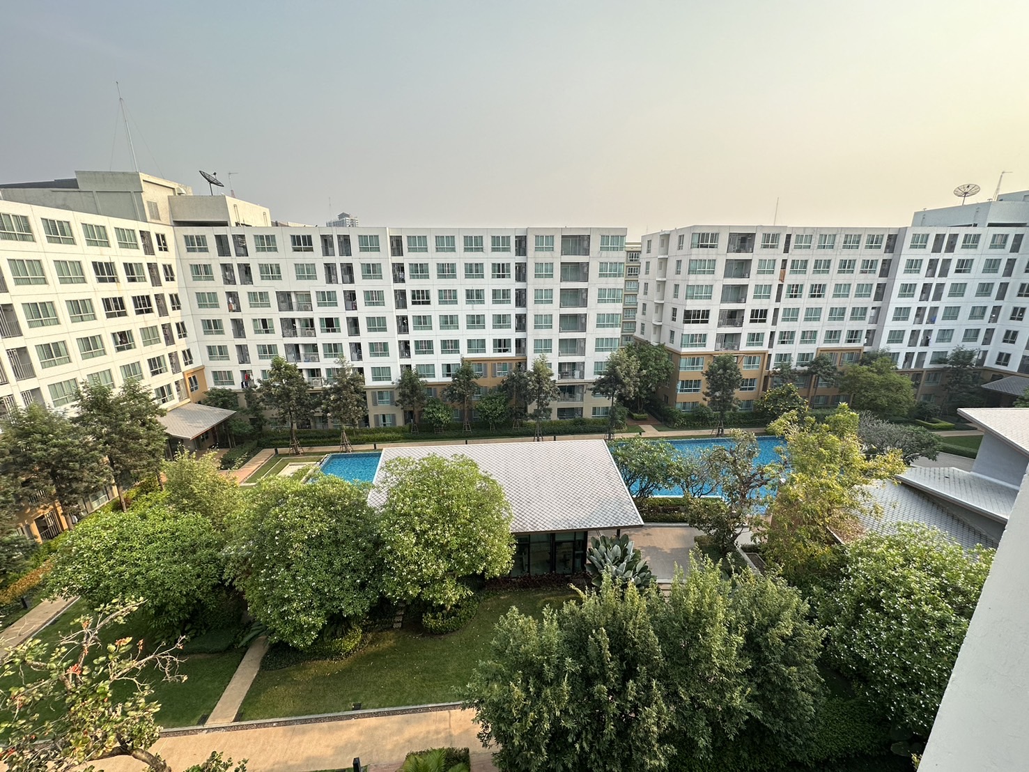 Dcondo Rin - Image 9