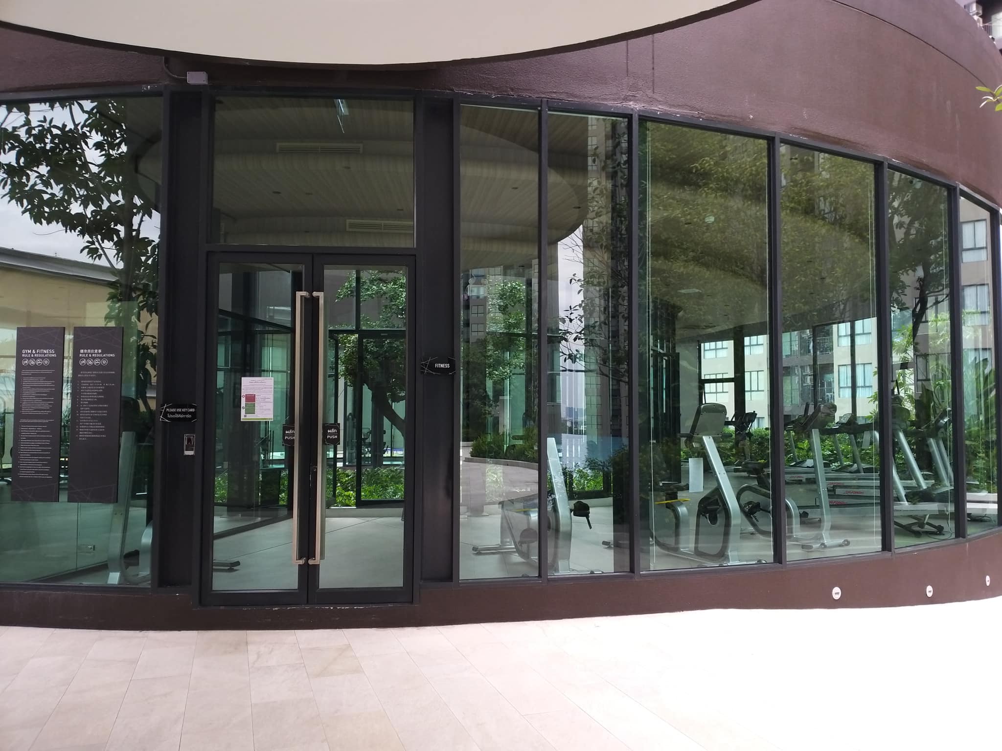 ELIO DEL NEST - Image 11