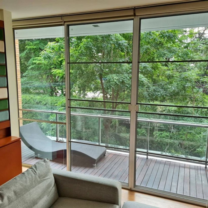 Ficus Lane - Image 3