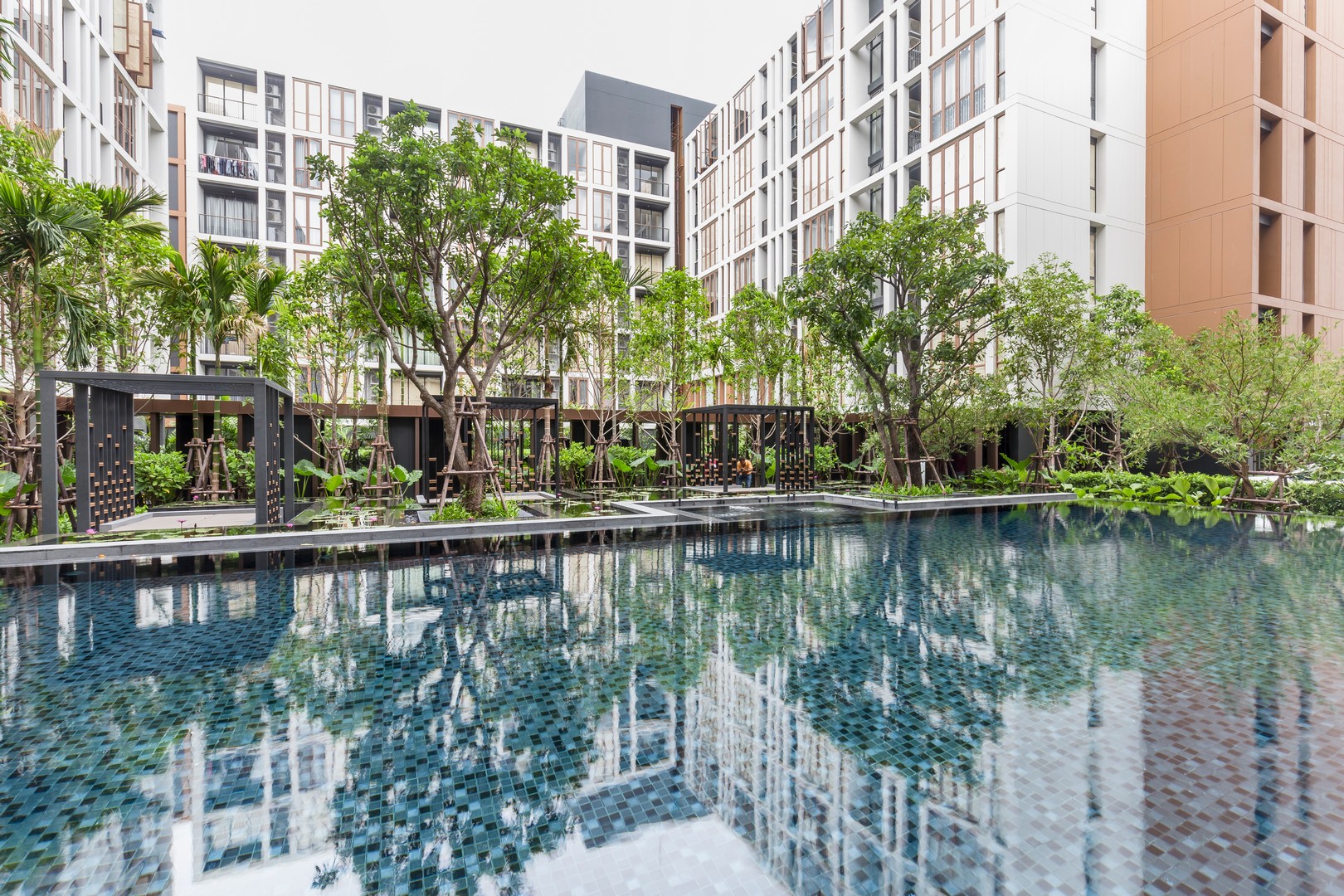 Hasu Haus - Image 8