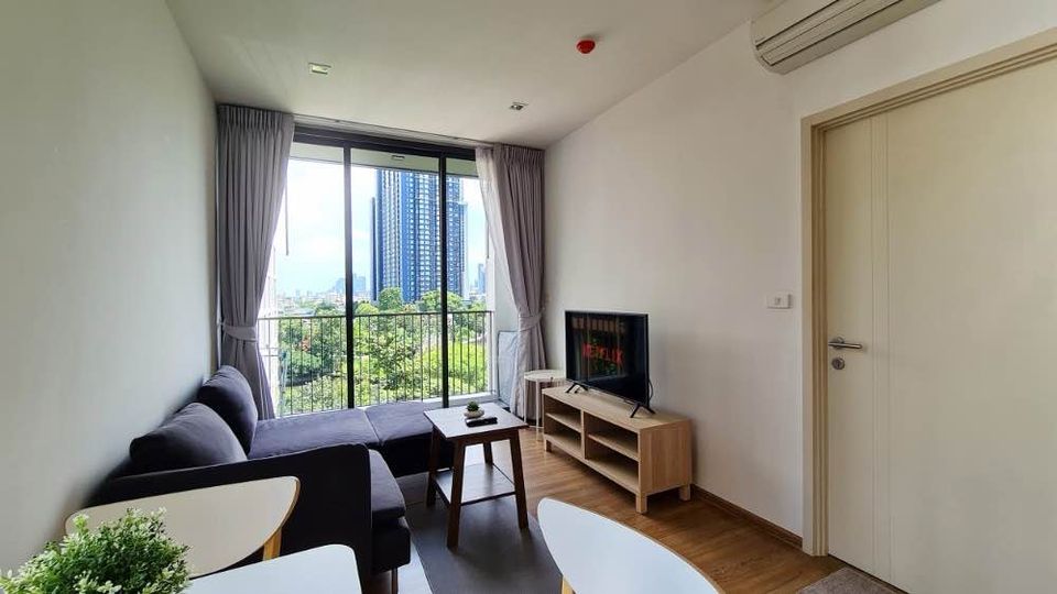 Hasu Haus - Image 3