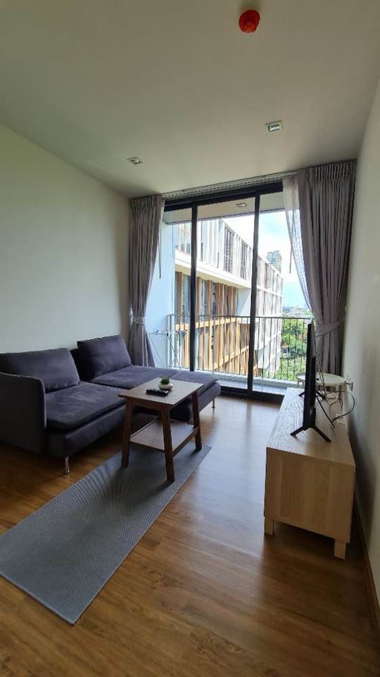 Hasu Haus - Image 2