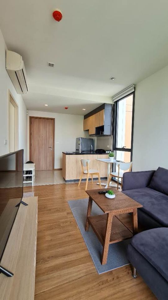 Hasu Haus - Image 10