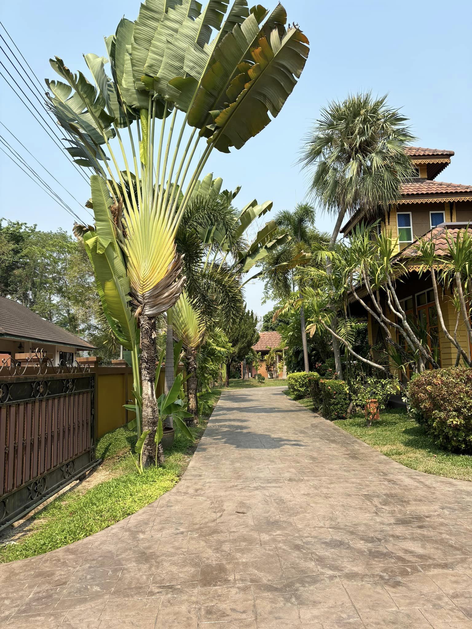 3 Bedroom House For Sale in Nong Chaeng, Bueng Sam Phan, Phetchabun - Image 19