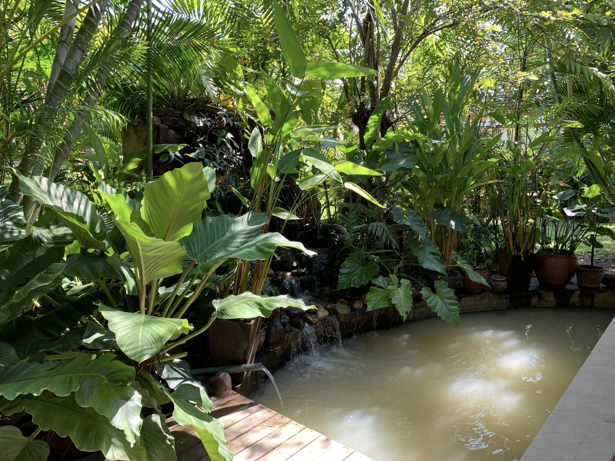 3 Bedroom House For Sale in Nong Chaeng, Bueng Sam Phan, Phetchabun - Image 13
