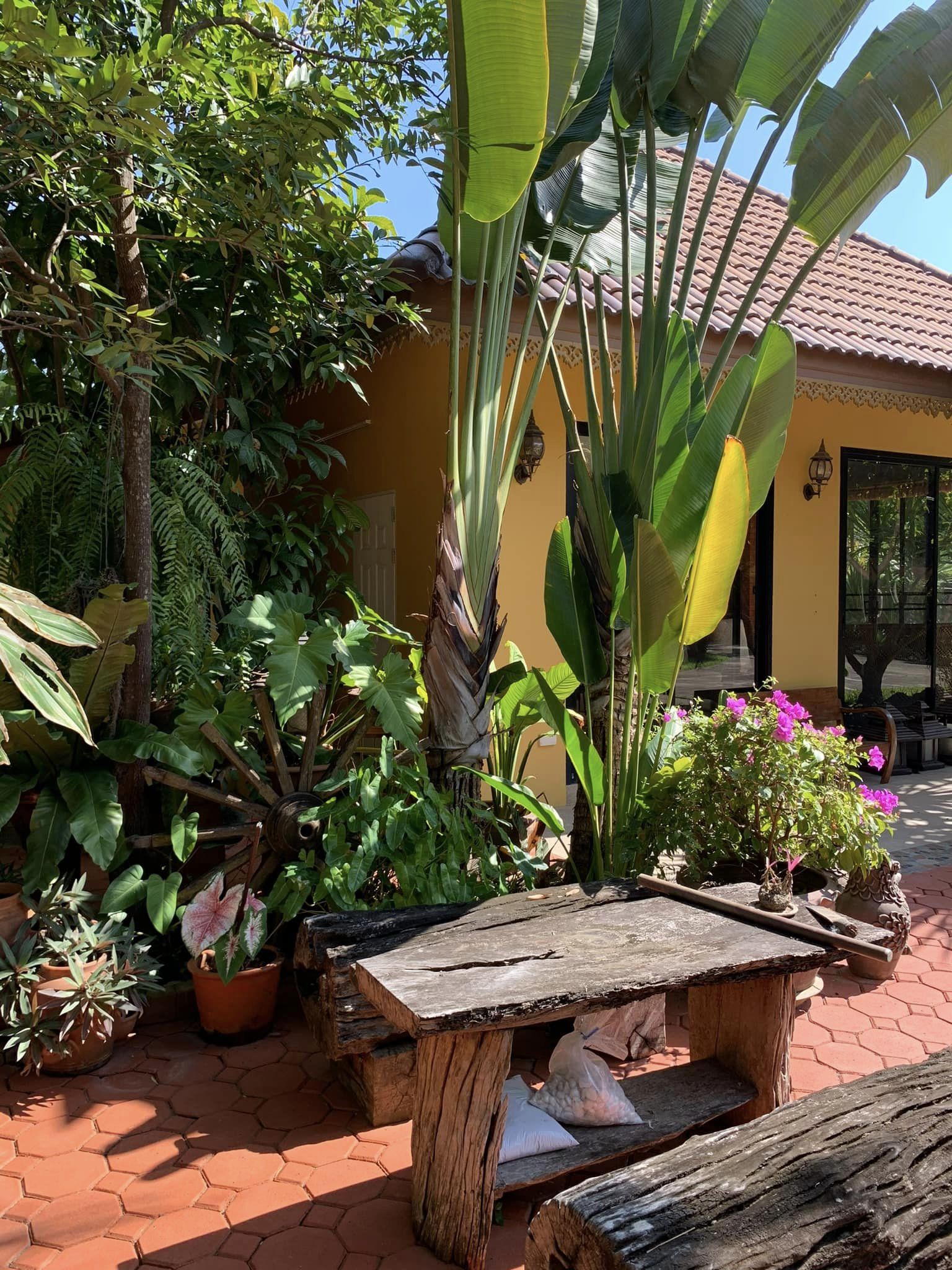 3 Bedroom House For Sale in Nong Chaeng, Bueng Sam Phan, Phetchabun - Image 20