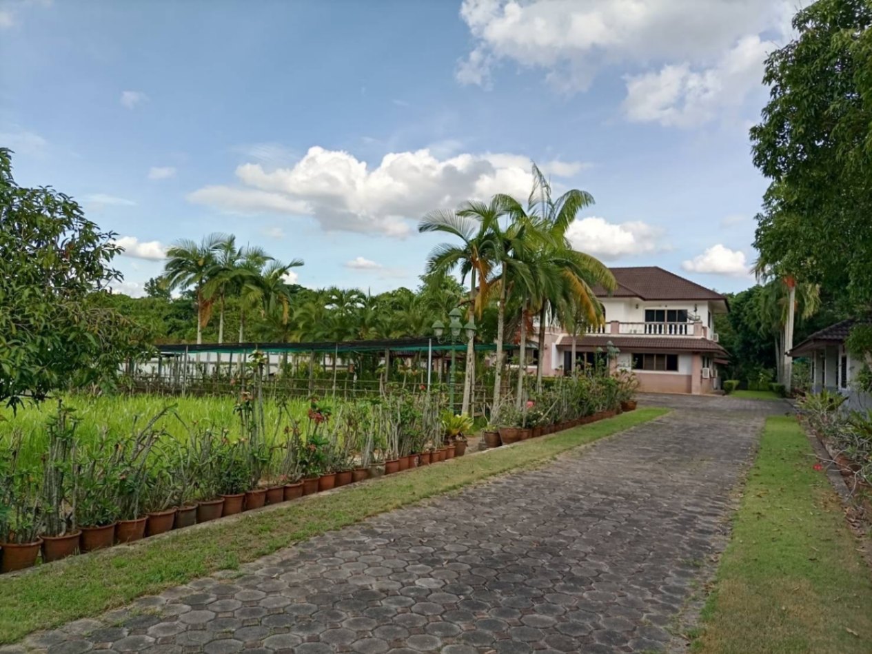 12 Bedroom House For Sale in Nong Han, San Sai, Chiang Mai - Image 3